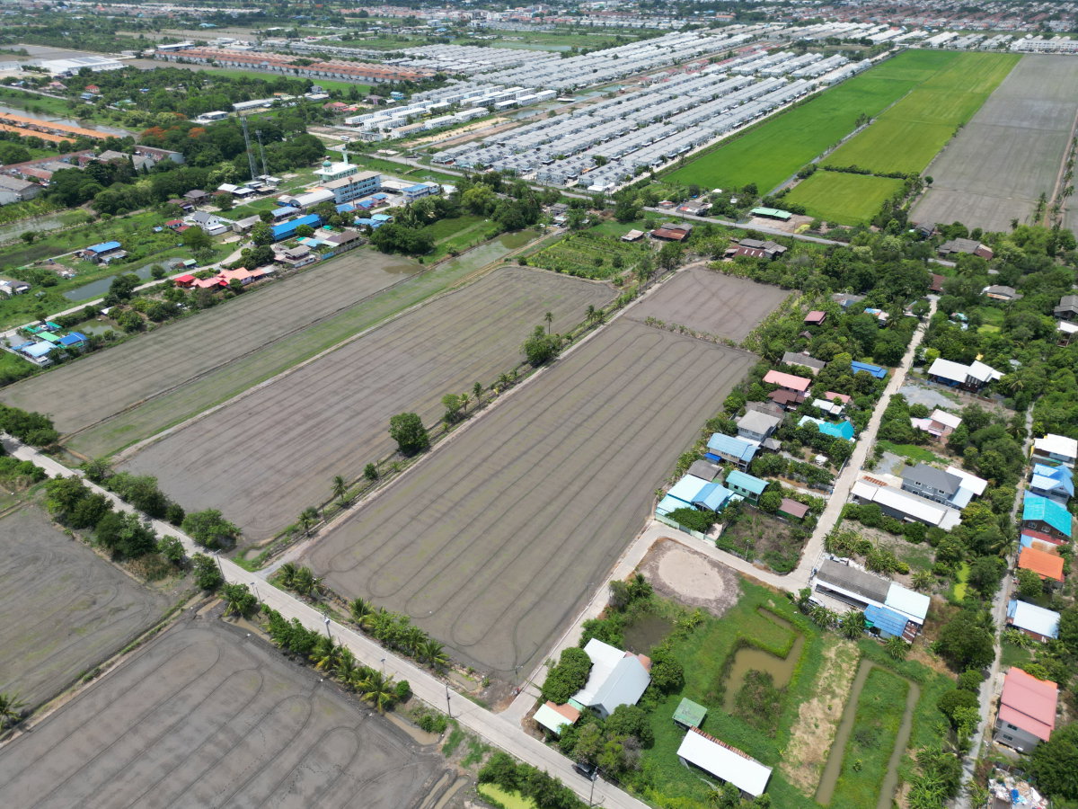 รูป #ขายที่ดิน #ไทรน้อย #บางบัวทอง ขนาด 20 ไร่ 81 วา #ราคาดีสุดๆ #ขายต่ำกว่าราคาประเมิน #ขายถูก - รูปที่ 15/18