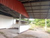 listing thumbnail image 36