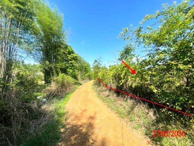 picture LAND 1812 Sq.w. Ko Kha Lamphang for 1.4M - 2/22