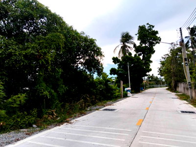 ที่ดิน วัดป่าวชิรบรรพต ชลบุรี : แบ่งขายที่ดิน 108 ตรว.หนองข้างคอก ใกล้มอเตอร์เวย์ 850,000 บาท