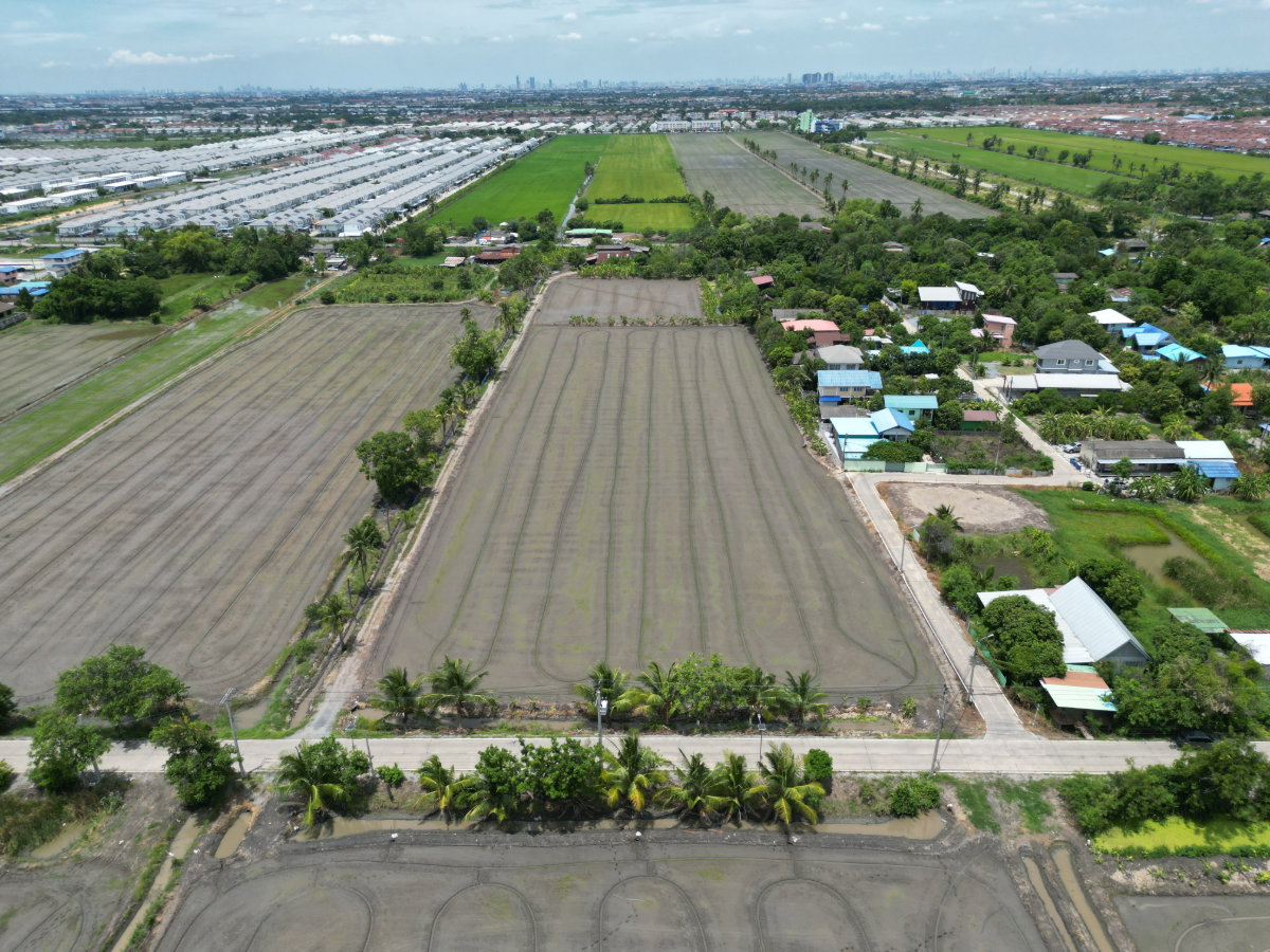 รูป #ขายที่ดิน #ไทรน้อย #บางบัวทอง ขนาด 20 ไร่ 81 วา #ราคาดีสุดๆ #ขายต่ำกว่าราคาประเมิน #ขายถูก - รูปที่ 14/18