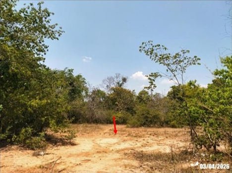 picture LAND 6783 Sq.w. Non Sang Nong Bua Lam Phu for 1.4M - 13/16
