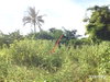 listing thumbnail image 7