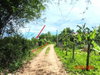 listing thumbnail image 12