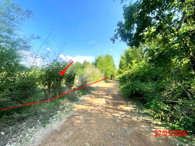 picture LAND 1812 Sq.w. Ko Kha Lamphang for 1.4M - 5/22