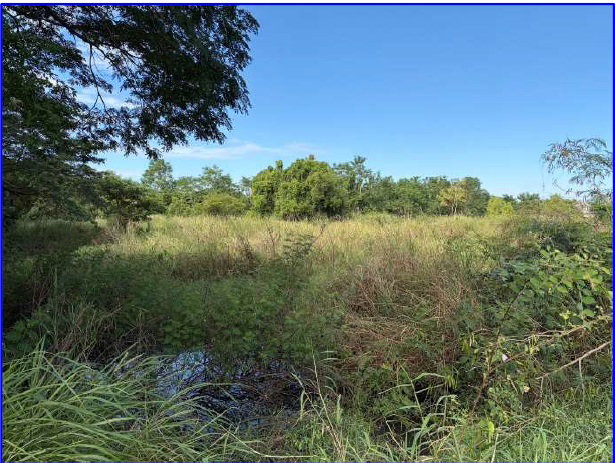 picture LAND 4000 Sq.w. Muang Nong Bua Lam Phu Nong Bua Lam Phu for 4.8M - 6/8