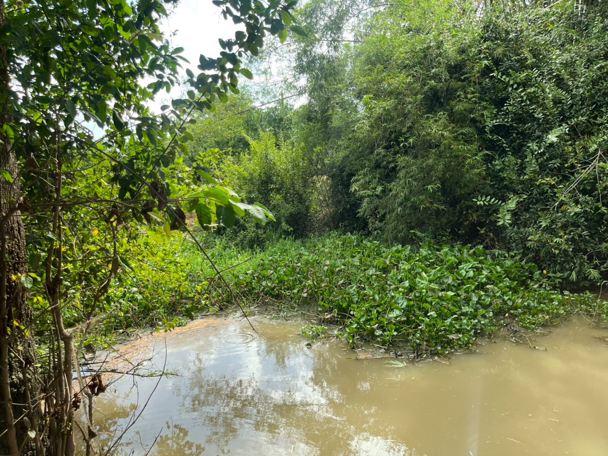 รูป ขายที่ดินถมแล้ว 1 ไร่ ล้อมรั้วสีเขียว มีโฉนด ด้านหน้าติดถนนหลวง ด้านหลังติดคลองธรรมชาติ - รูปที่ 11/25