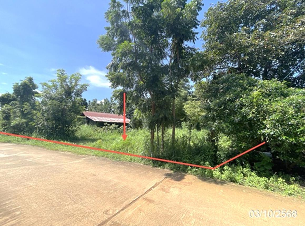 รูป บ้านเดี่ยว 965 ตร.วา หล่มสัก เพชรบูรณ์ 1.4M - รูปที่ 20/24