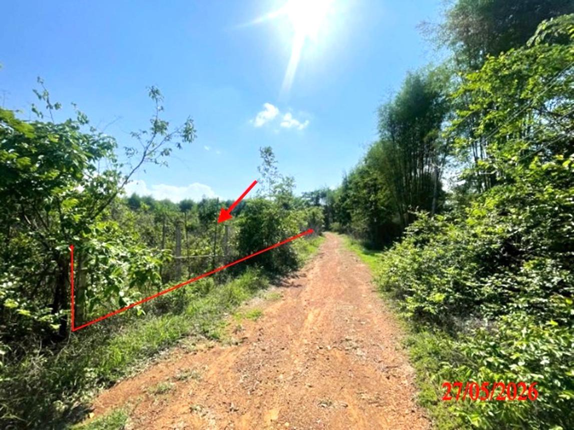 picture LAND 1812 Sq.w. Ko Kha Lamphang for 1.4M - 18/22