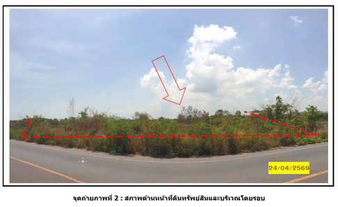 LAND 6695 Sq.w. Kanchanadit Surat Thani for 14.7M