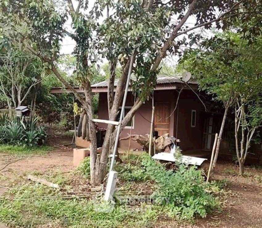 picture Land For Sale In Mae Na, Chiang Dao, Chiang Mai (ID 3087019) - 5/5