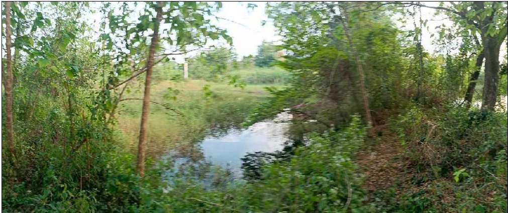 picture LAND 20503 Sq.w. Muang Nong Bua Lam Phu Nong Bua Lam Phu for 28.4M - 11/15