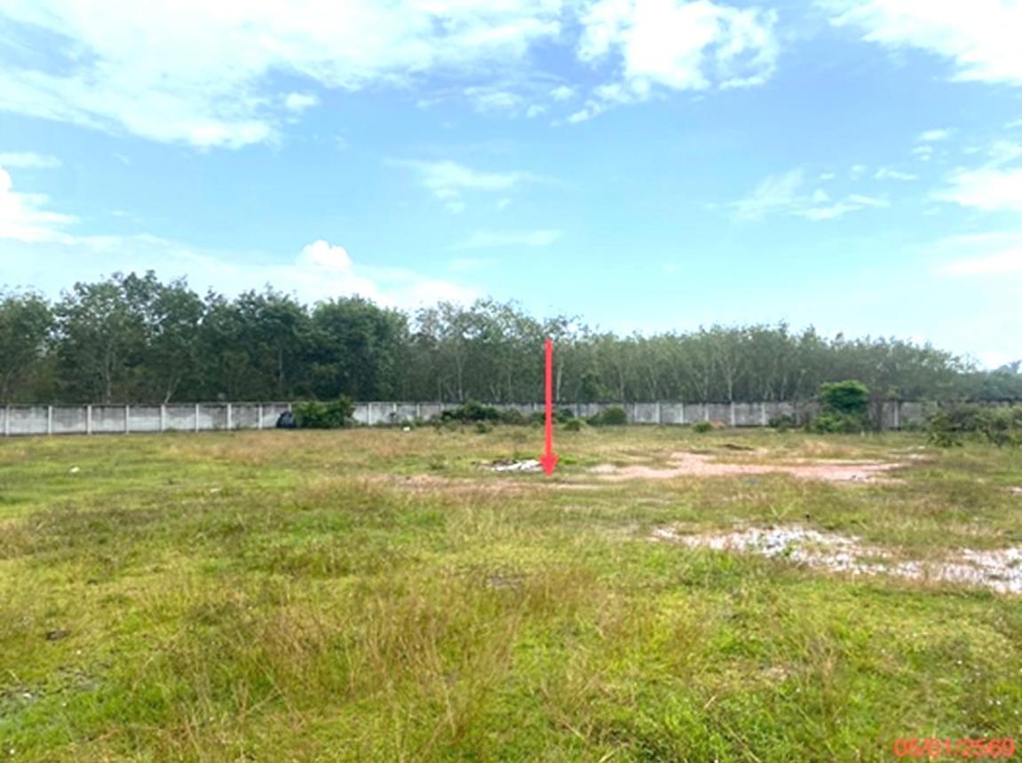 รูป ที่ดินว่างเปล่า 768 ตร.วา เมืองพัทลุง พัทลุง 2.7M - รูปที่ 10/14