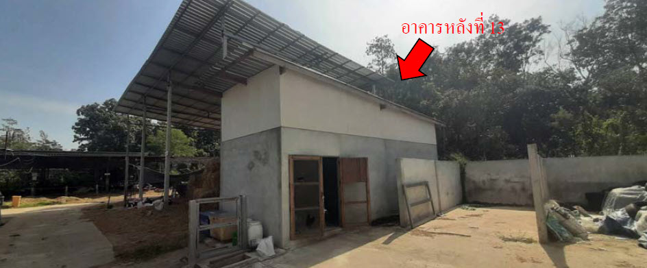 picture FACTORY 12981 Sq.w. Muang Surin Surin for 14.6M - 23/24