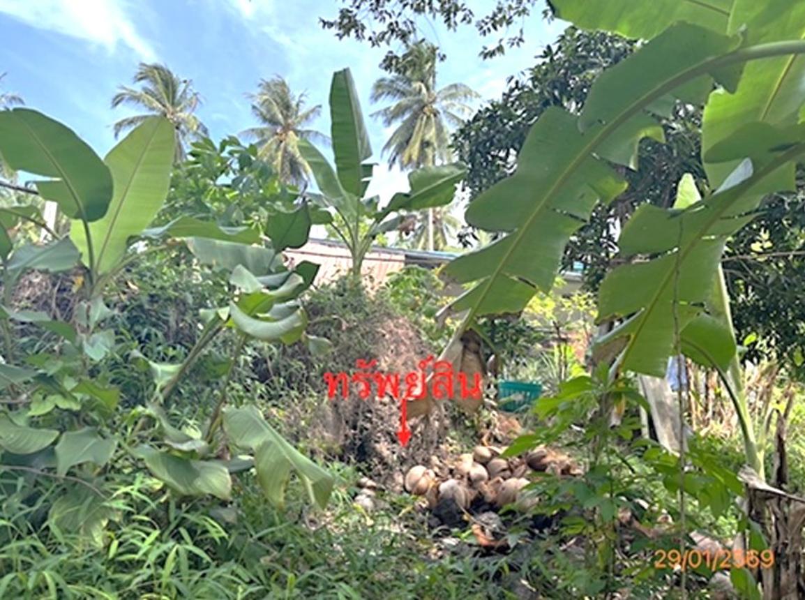 picture LAND 50 Sq.w. Ko Samui Surat Thani for 750,000 - 14/20