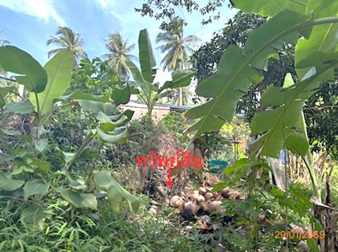 picture LAND 50 Sq.w. Ko Samui Surat Thani for 750,000 - 6/20