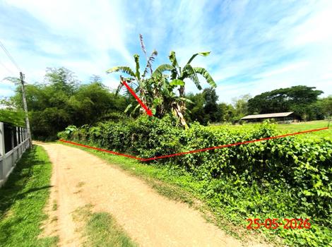 รูป เพิงอเนกประสงค์ 1211 ตร.วา เกาะคา ลำปาง 2.7M - รูปที่ 15/18