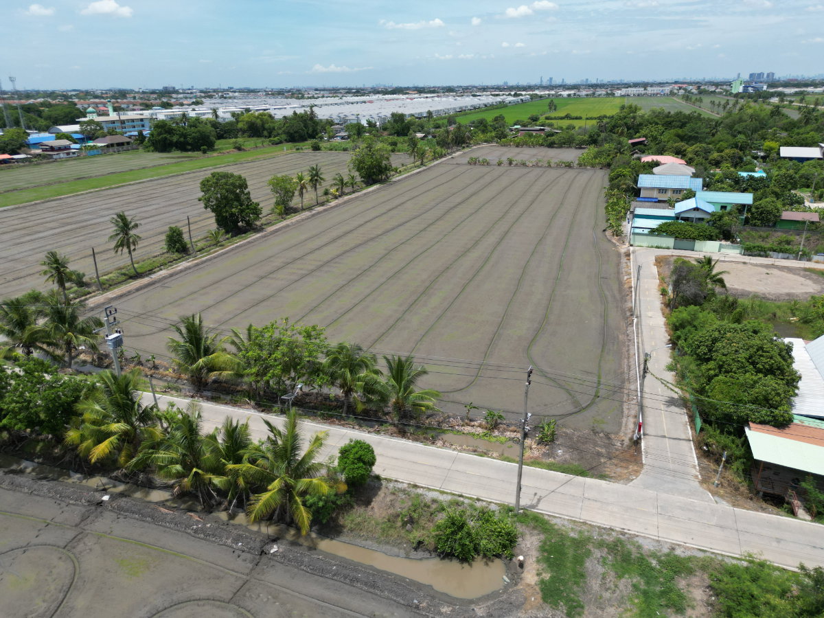 รูป #ขายที่ดิน #ไทรน้อย #บางบัวทอง ขนาด 20 ไร่ 81 วา #ราคาดีสุดๆ #ขายต่ำกว่าราคาประเมิน #ขายถูก - รูปที่ 10/18