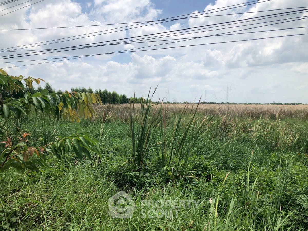 รูป ขายที่ดินแปลงใหญ่ ลำประทิว เขตลาดกระบัง กรุงเทพฯ (ID 3083547) - รูปที่ 1/4