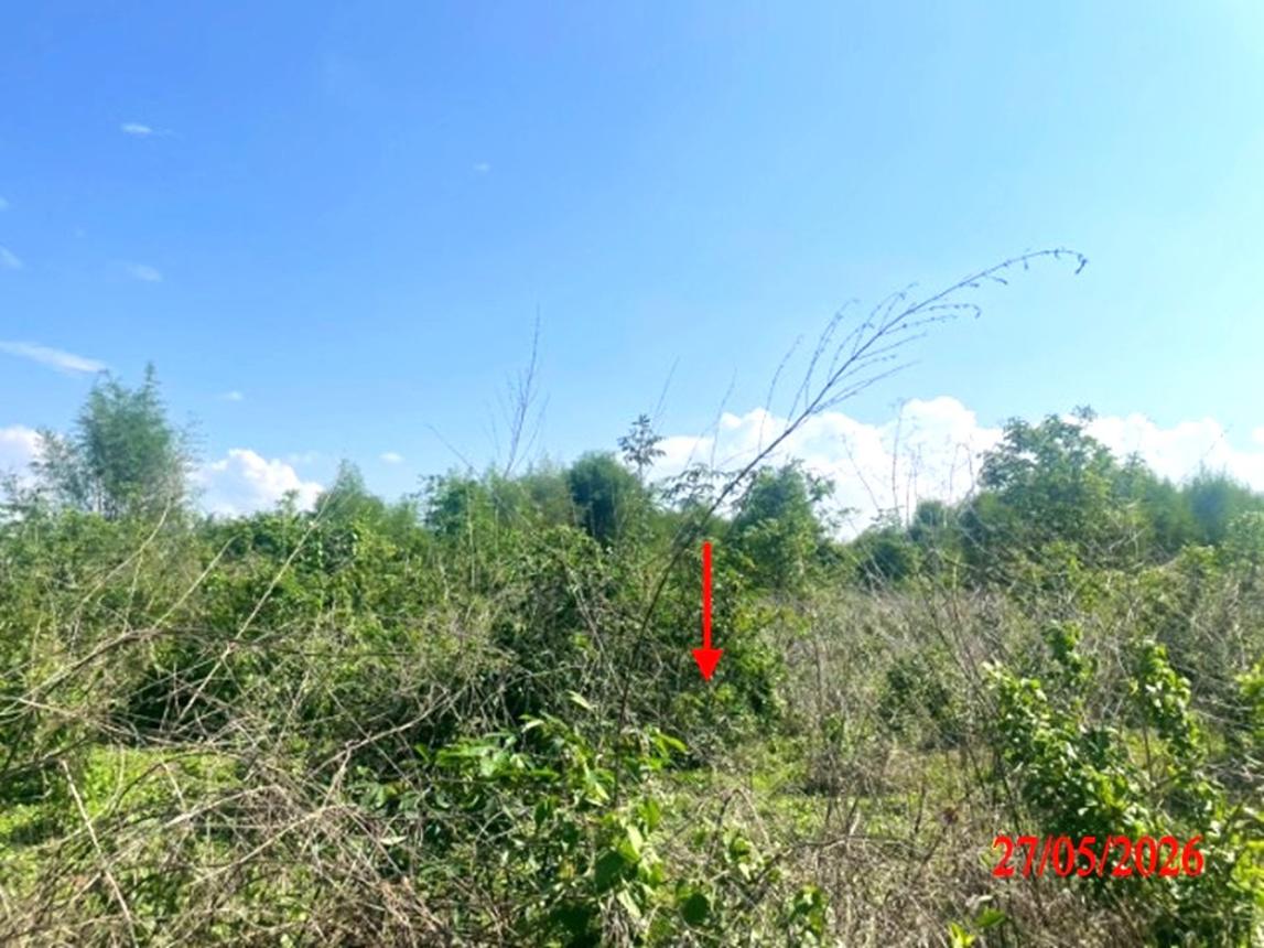 picture LAND 1812 Sq.w. Ko Kha Lamphang for 1.4M - 16/22