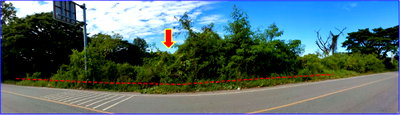 ที่ดินเปล่า 4000 ตร.วา อำเภอเมืองหนองบัวลำภู จังหวัดหนองบัวลำภู 4.8M