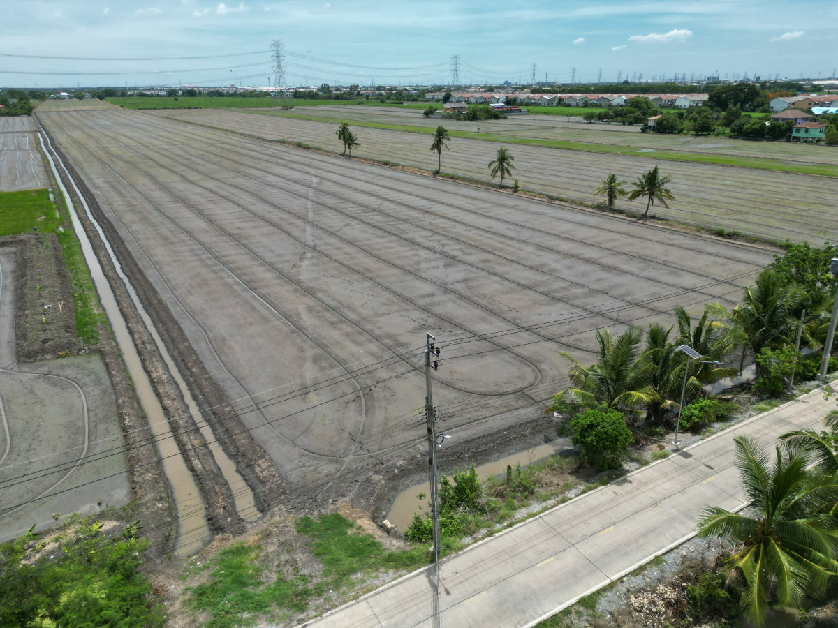 รูป #ขายที่ดิน #ไทรน้อย #บางบัวทอง ขนาด 20 ไร่ 81 วา #ราคาดีสุดๆ #ขายต่ำกว่าราคาประเมิน #ขายถูก - รูปที่ 7/18