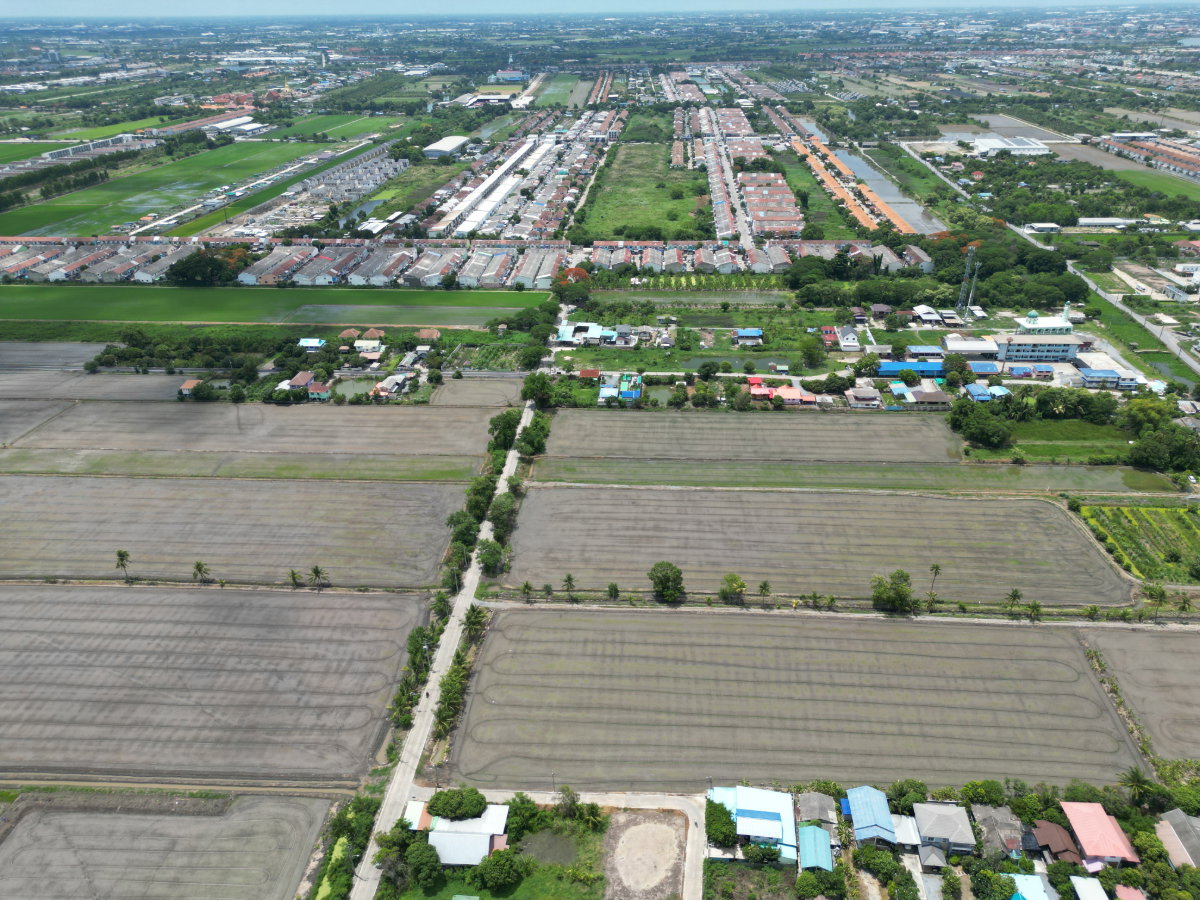 รูป #ขายที่ดิน #ไทรน้อย #บางบัวทอง ขนาด 20 ไร่ 81 วา #ราคาดีสุดๆ #ขายต่ำกว่าราคาประเมิน #ขายถูก - รูปที่ 17/18