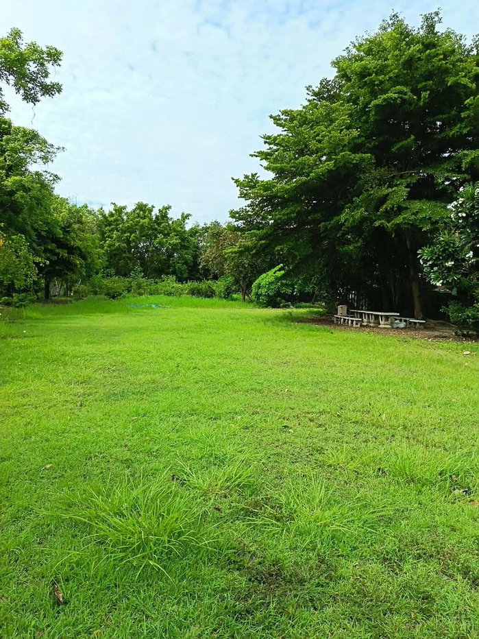 รูป 🌲ขาย! บ้านสวนร่มรื่นติดถนนใหญ่ เส้นสันกำแพง-แม่ออน พื้นที่กว้าง 2 ไร่กว่า! T. 063-664-9056 - รูปที่ 2/20