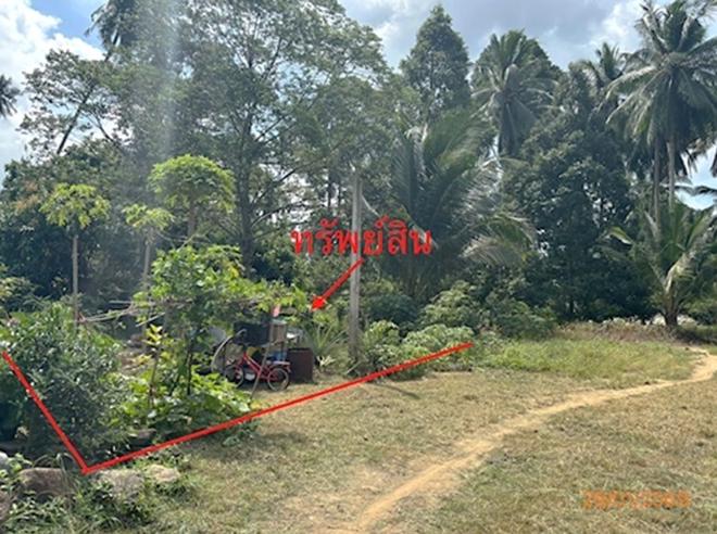 picture LAND 50 Sq.w. Ko Samui Surat Thani for 750,000 - 3/20