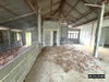 listing thumbnail image 30