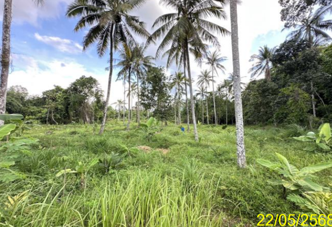 รูป ที่ดินว่างเปล่า 2280.4 ตร.วา รือเสาะ นราธิวาส 1.4M - รูปที่ 4/18