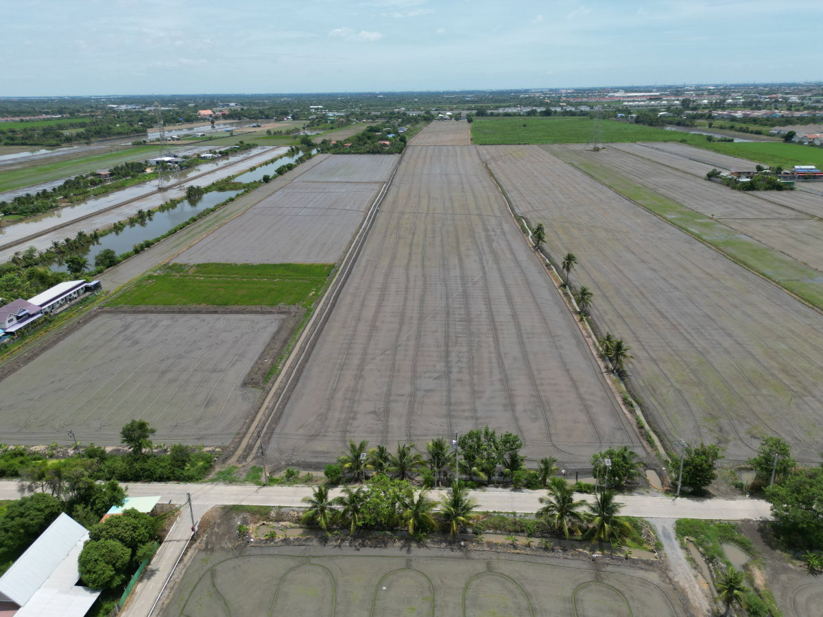 รูป #ขายที่ดิน #ไทรน้อย #บางบัวทอง ขนาด 20 ไร่ 81 วา #ราคาดีสุดๆ #ขายต่ำกว่าราคาประเมิน #ขายถูก - รูปที่ 13/18