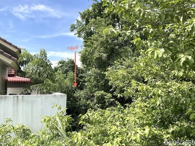 picture LAND 171.9 Sq.w. Muang Uthai Thani Uthai Thani for 627,000 - 2/12