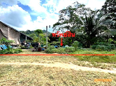 Land for sale Surat Thani : LAND 50 Sq.w. Ko Samui Surat Thani for 750,000