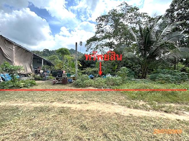 picture LAND 50 Sq.w. Ko Samui Surat Thani for 750,000 - 1/20
