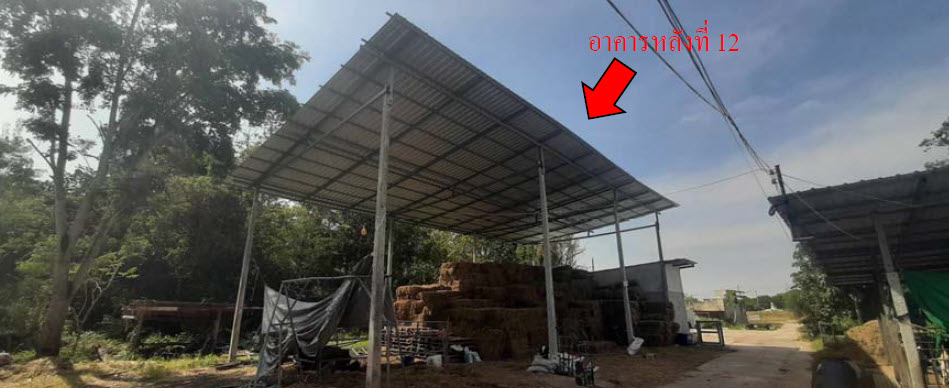 picture FACTORY 12981 Sq.w. Muang Surin Surin for 14.6M - 22/24