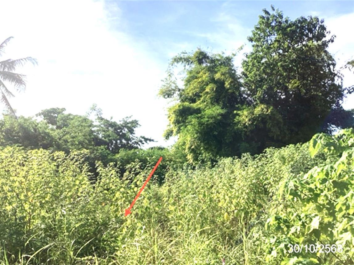 รูป ที่ดินว่างเปล่า 129 ตร.วา แม่ลาว เชียงราย 516,000 - รูปที่ 9/14