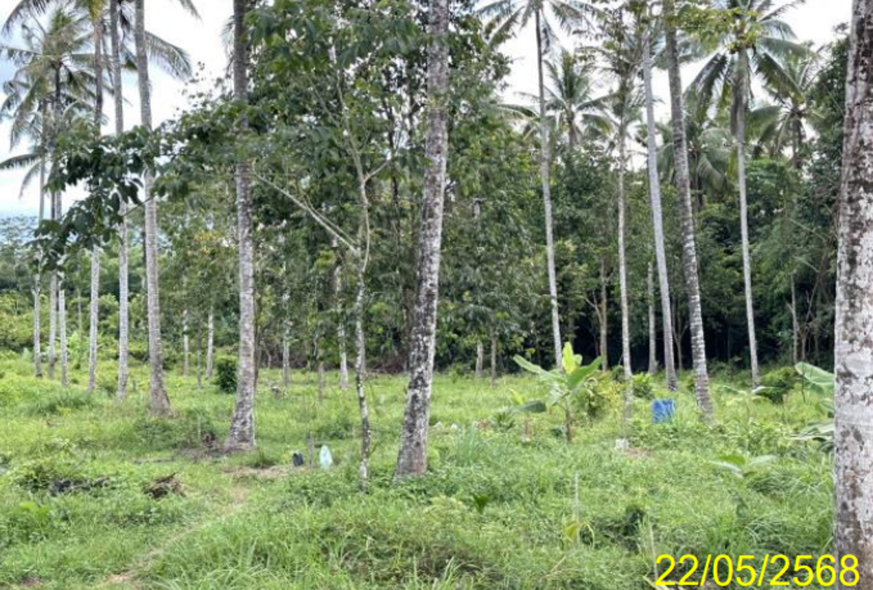 รูป ที่ดินว่างเปล่า 2280.4 ตร.วา รือเสาะ นราธิวาส 1.4M - รูปที่ 13/18