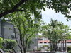 listing thumbnail image 24