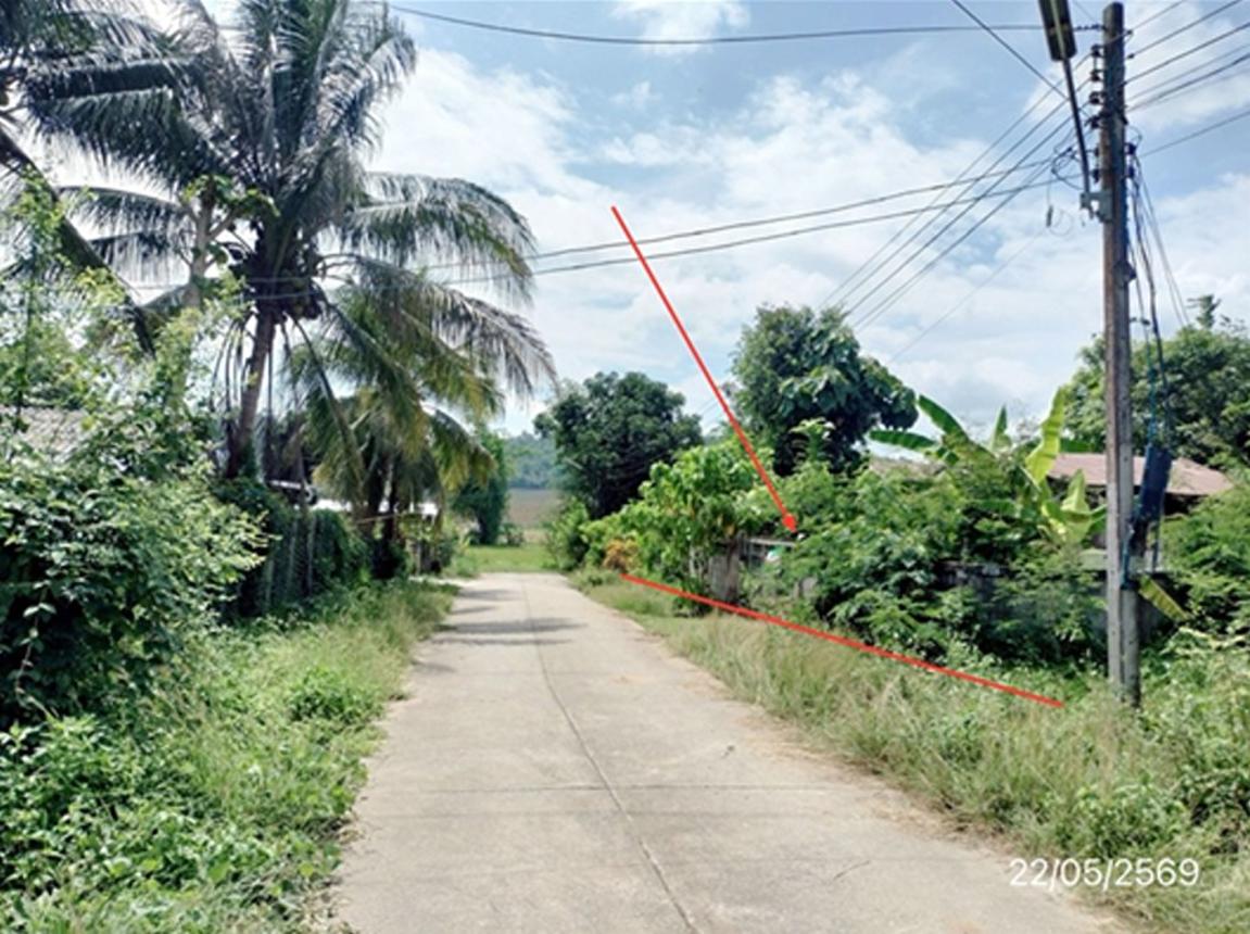 รูป บ้านเดี่ยว 288 ตร.วา แม่จัน เชียงราย 1.2M - รูปที่ 12/16
