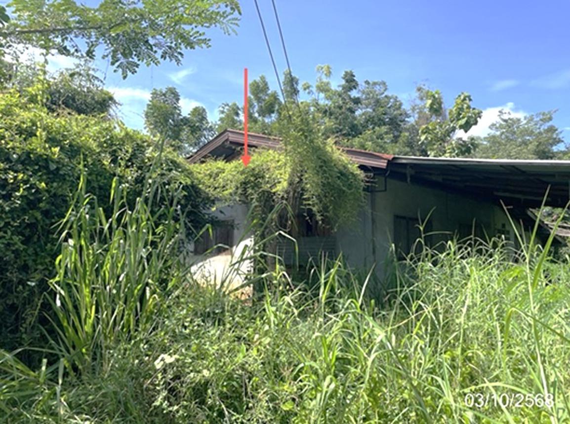 รูป บ้านเดี่ยว 965 ตร.วา หล่มสัก เพชรบูรณ์ 1.4M - รูปที่ 11/24