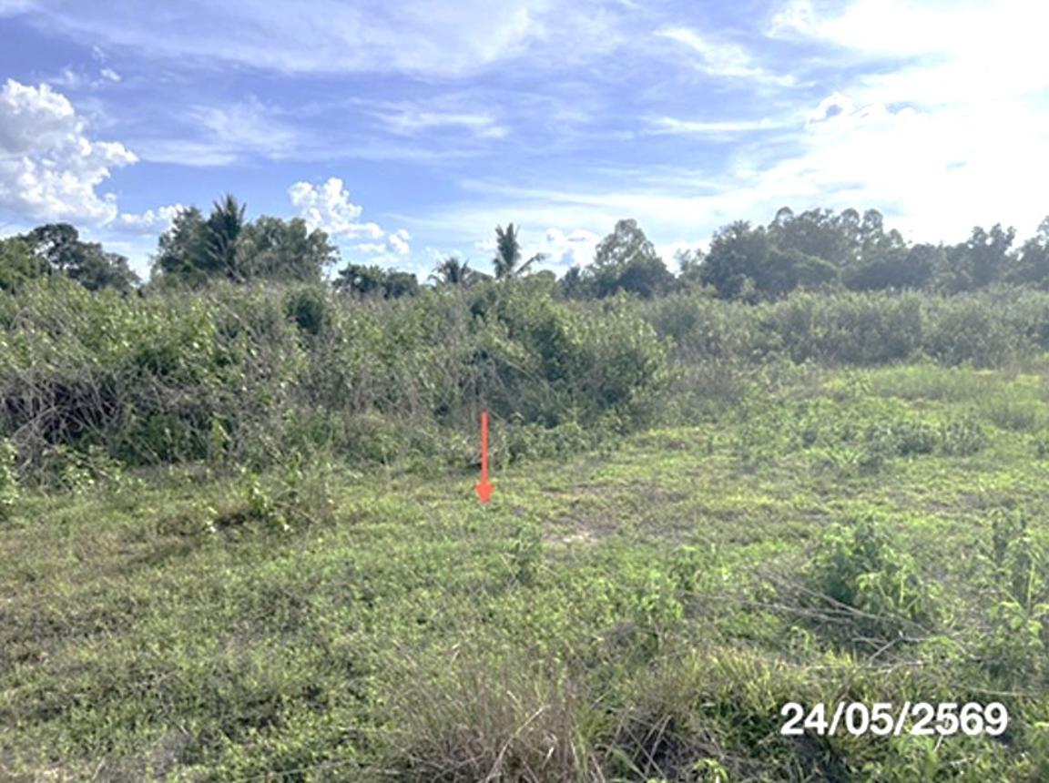 picture LAND 5451.5 Sq.w. Na Chaluai Ubon Ratchathani for 12M - 15/24