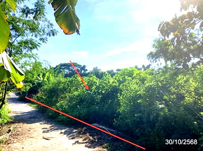 ที่ดิน เชียงราย : ที่ดินว่างเปล่า 129 ตร.วา แม่ลาว เชียงราย 516,000