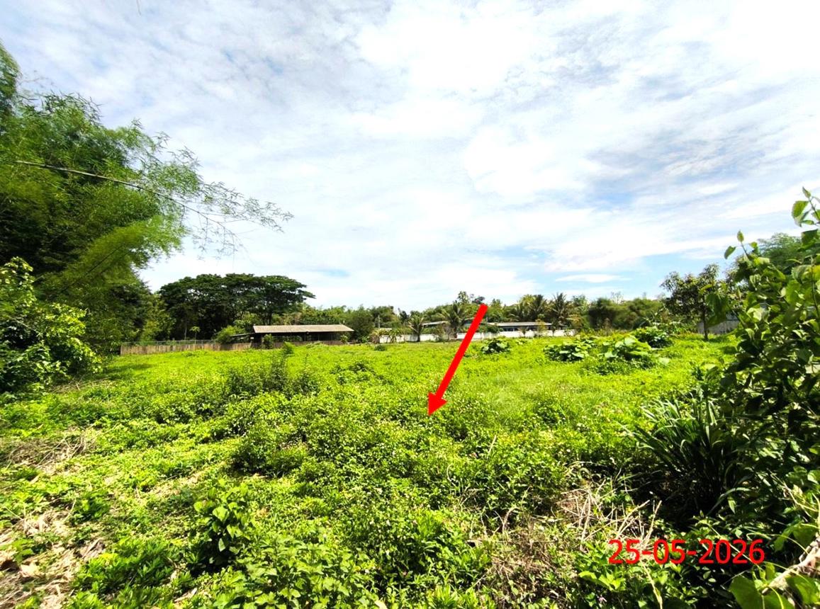 รูป เพิงอเนกประสงค์ 1211 ตร.วา เกาะคา ลำปาง 2.7M - รูปที่ 12/18