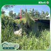 listing thumbnail image 21