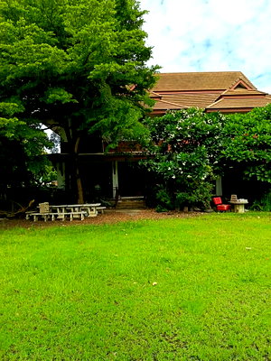 บ้านเดี่ยว เชียงใหม่ : 🌲ขาย! บ้านสวนร่มรื่นติดถนนใหญ่ เส้นสันกำแพง-แม่ออน พื้นที่กว้าง 2 ไร่กว่า! T. 063-664-9056
