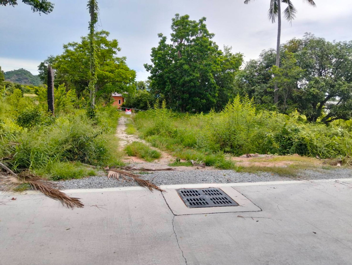 รูป แบ่งขายที่ดิน 108 ตรว.หนองข้างคอก ใกล้มอเตอร์เวย์ 850,000 บาท - รูปที่ 4/5