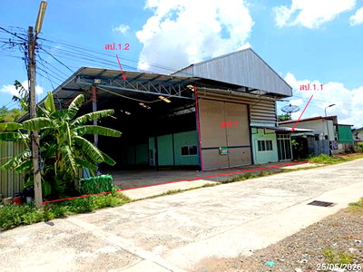 โรงงาน ปะคำ บุรีรัมย์ : โกดัง 227 ตร.วา ปะคำ บุรีรัมย์ 3.2M