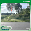 listing thumbnail image 21