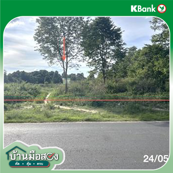 picture LAND 5451.5 Sq.w. Na Chaluai Ubon Ratchathani for 12M - 22/24